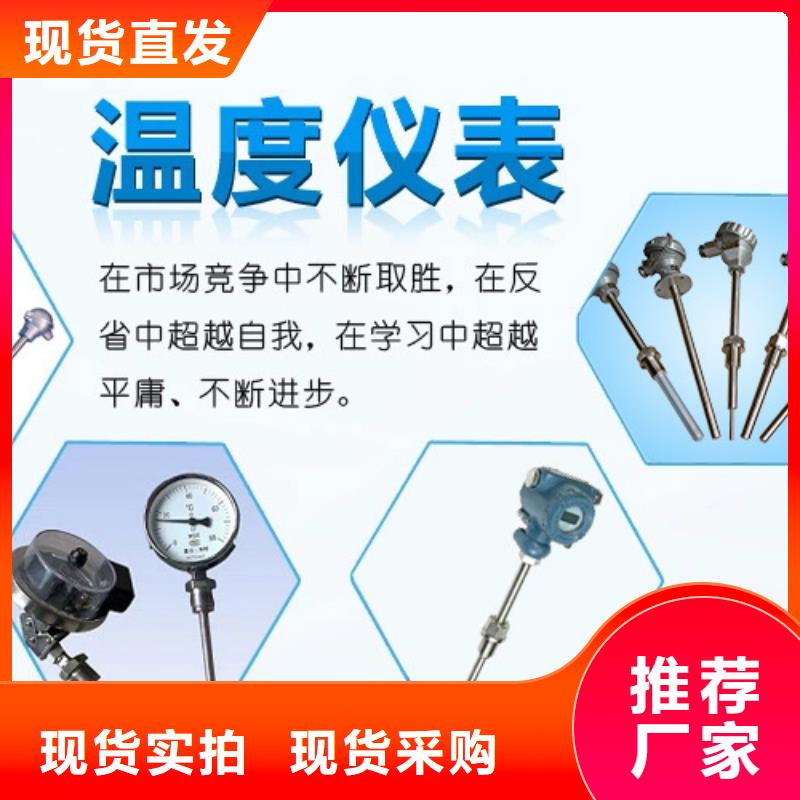 热电偶,一体化温度变送器厂家厂家售后完善