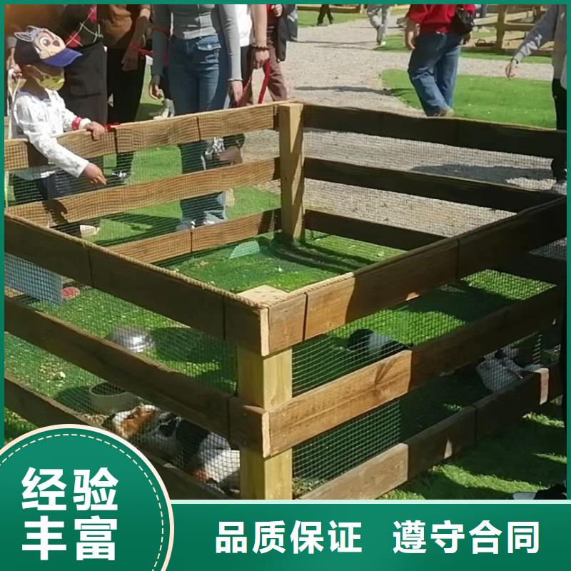 马戏团/羊驼【海狮杂技表演】专业团队