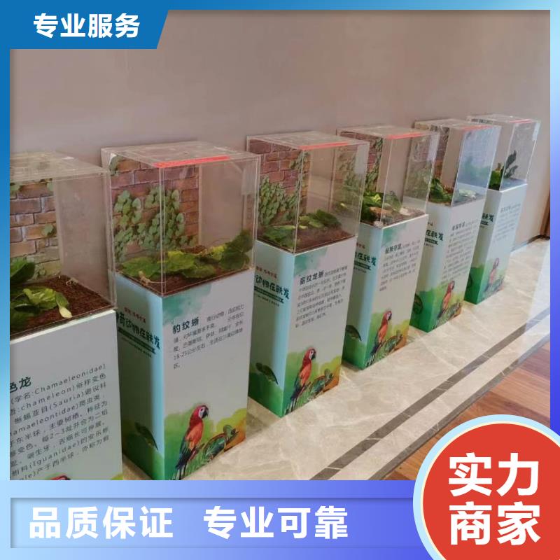 马戏团/羊驼_死轮表演精英团队