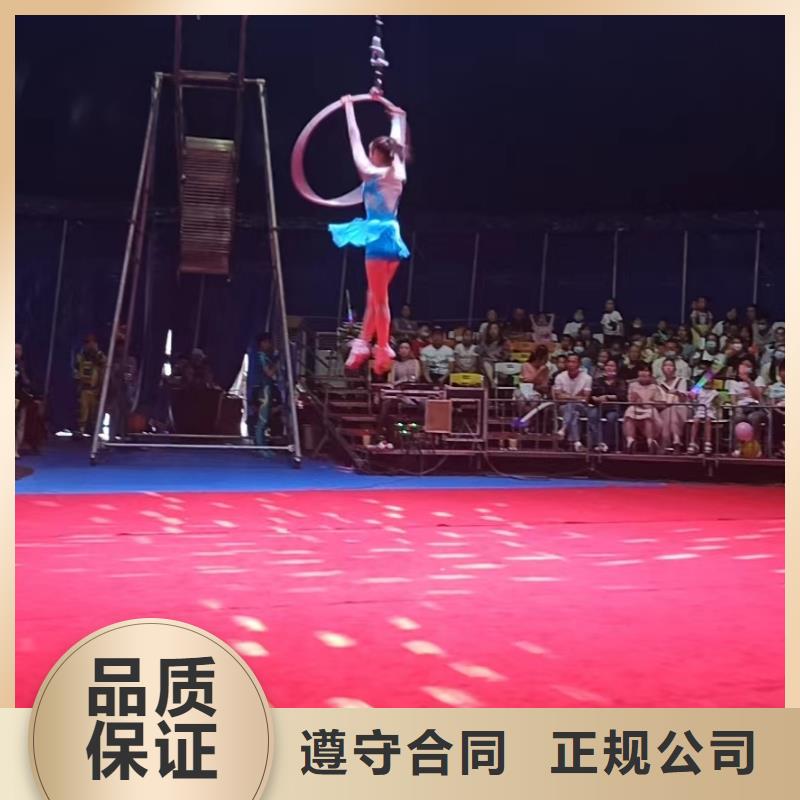马戏团/羊驼,草泥马羊驼租赁口碑公司