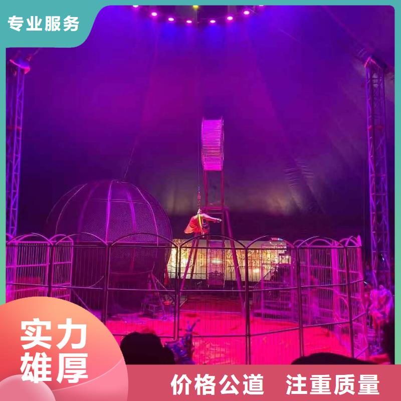 马戏团/羊驼,草泥马羊驼租赁口碑公司