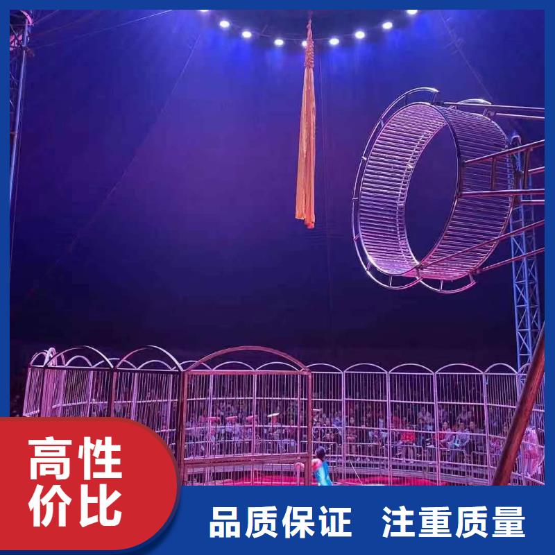 马戏团/羊驼_死轮表演精英团队