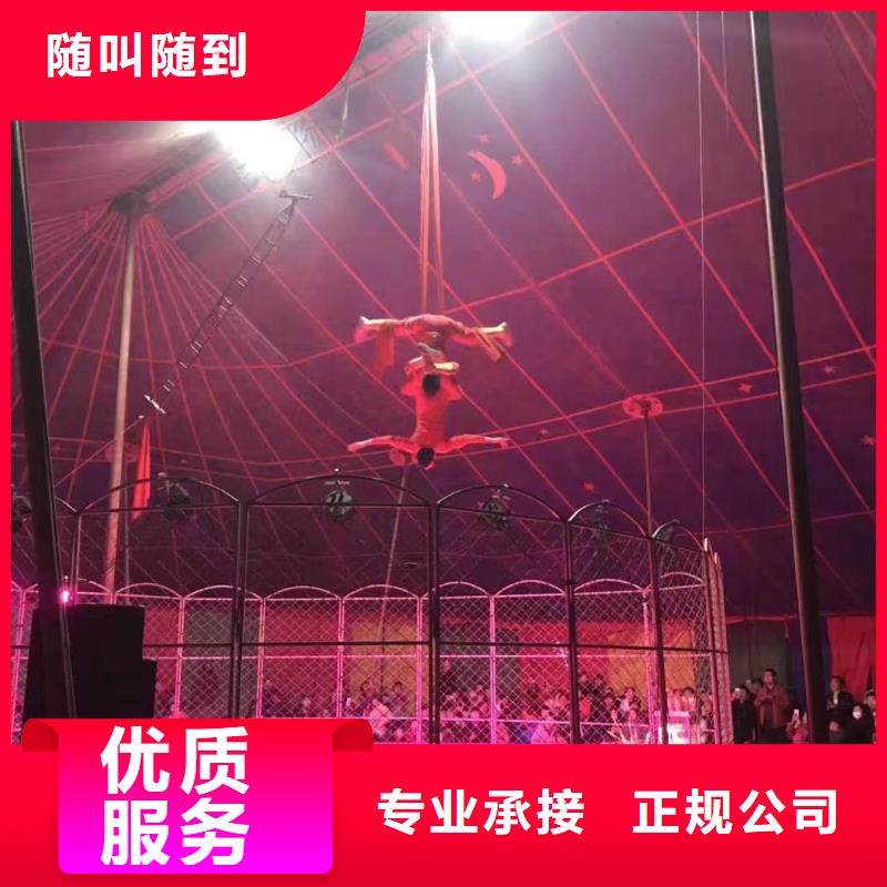 马戏团/羊驼_【出租海狮表演】精英团队
