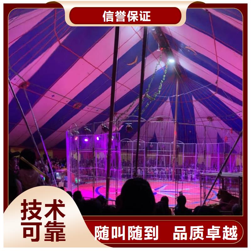 马戏团/羊驼【海狮杂技表演】专业团队