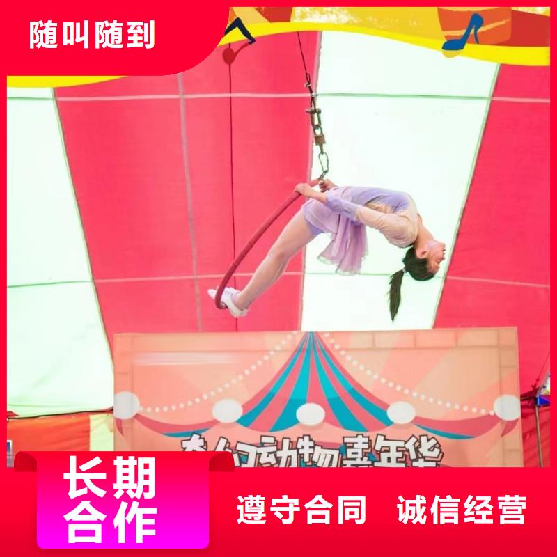 马戏团/羊驼_死轮表演精英团队
