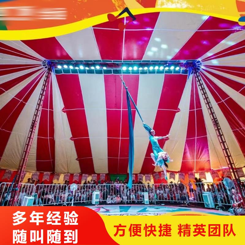 马戏团/羊驼_死轮表演精英团队