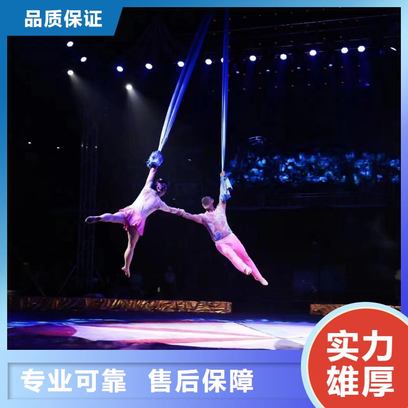 马戏团/羊驼 【企鹅演出】案例丰富