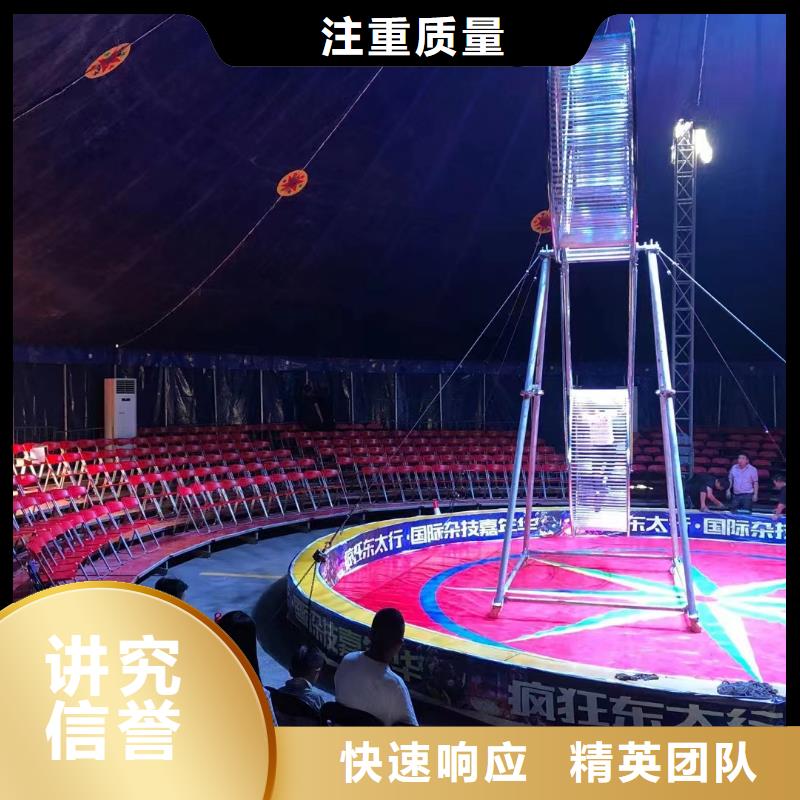 马戏团/羊驼_死轮表演精英团队