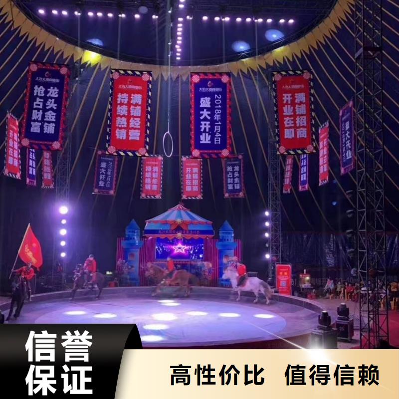 马戏团/羊驼_死轮表演精英团队