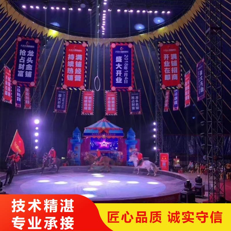 马戏团/羊驼 【企鹅演出】案例丰富