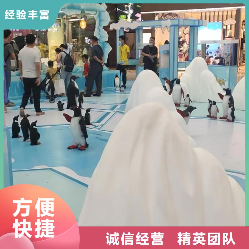 海洋主题动物表演企鹅出租表演24小时为您服务