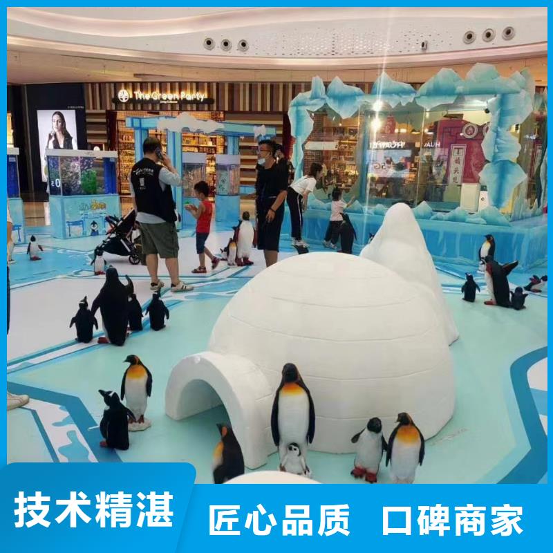 海洋主题动物表演 马戏表演正规公司