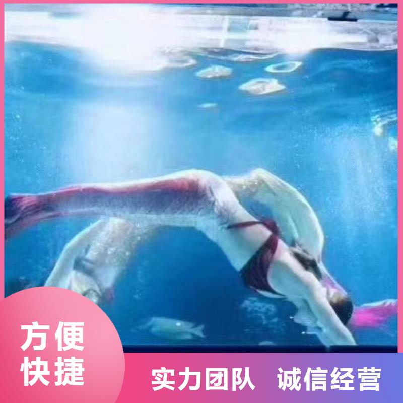 海洋主题动物表演表演羊驼租赁实力雄厚