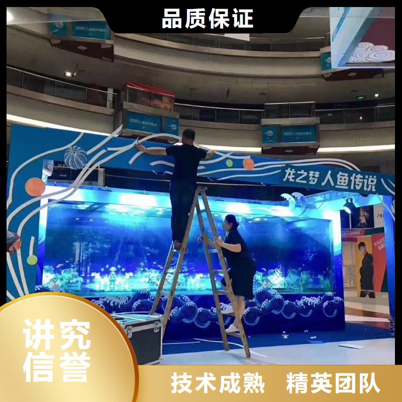 海洋主题动物表演海狮表演出租资质齐全