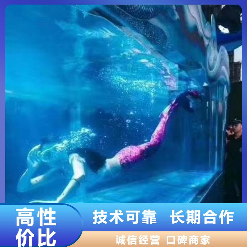 海洋主题动物表演美人鱼表演实力公司