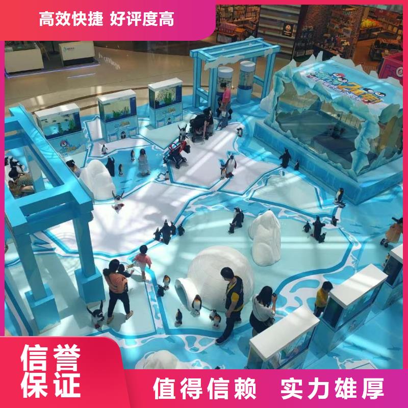 海洋主题动物表演海狮表演出租资质齐全