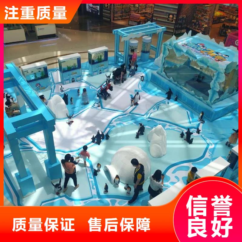 海洋主题动物表演企鹅租赁2025专业的团队