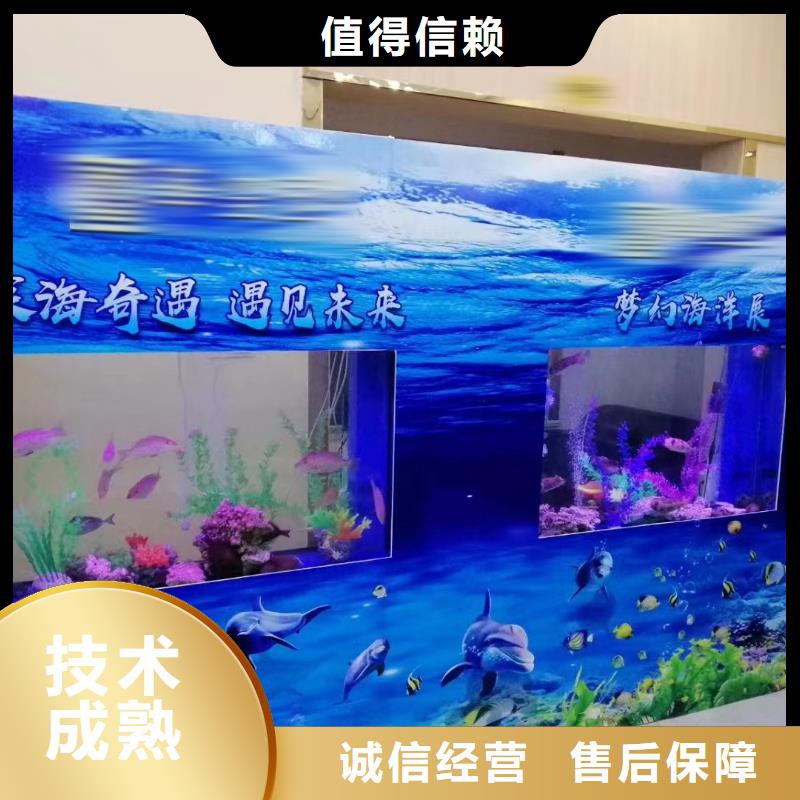 海洋主题动物表演 美人鱼表演出租快速