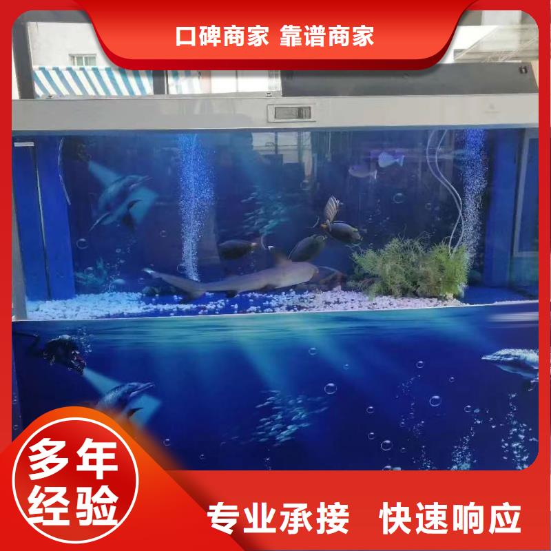 海洋主题动物表演海狮表演出租资质齐全