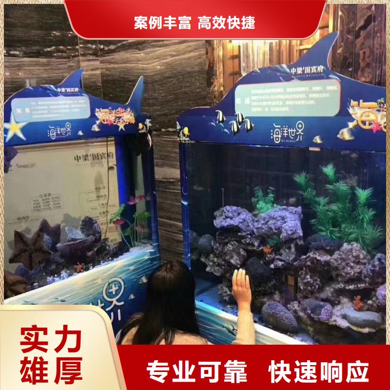 海洋主题动物表演环球飞车表演出租好评度高