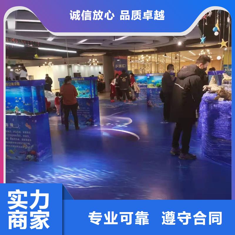 海洋主题动物表演,商场马戏表演出租技术好