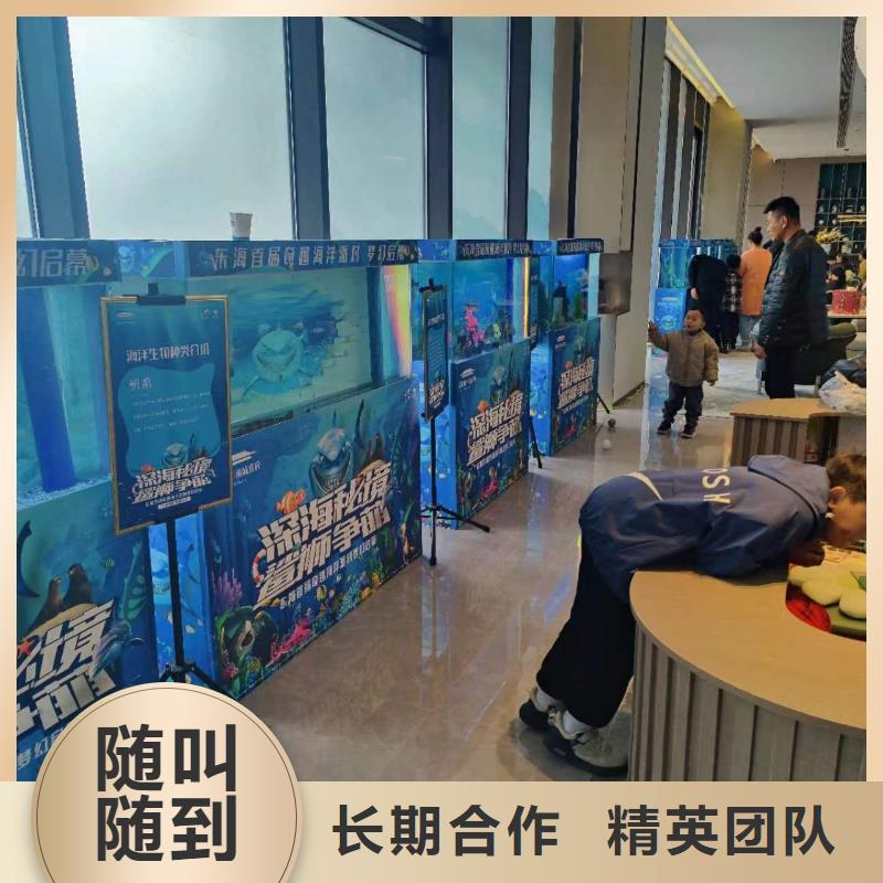 海洋主题动物表演 【海狮表演】快速