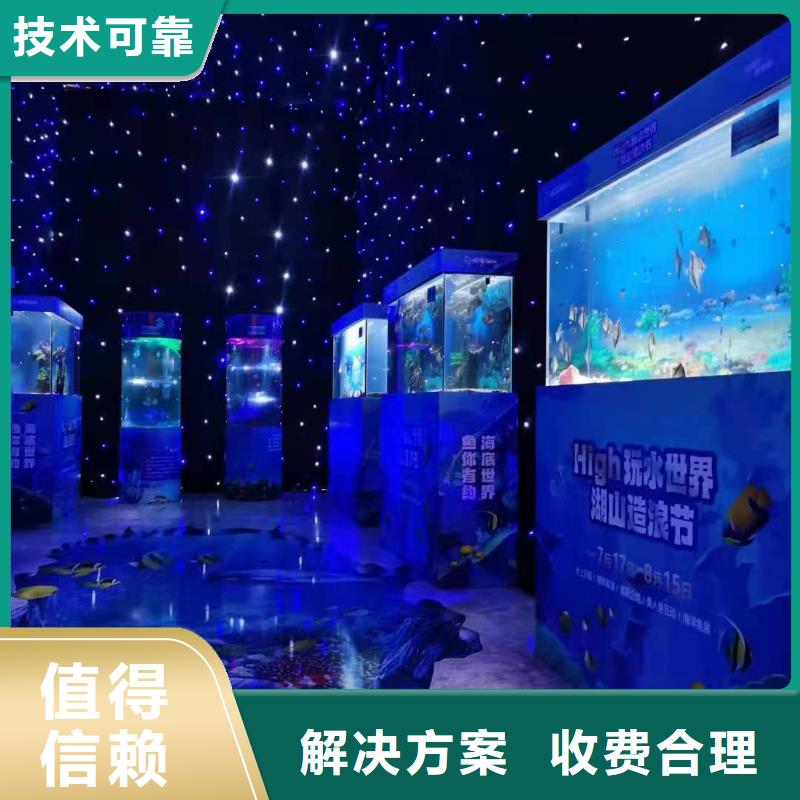 海洋主题动物表演企鹅租赁2025专业的团队