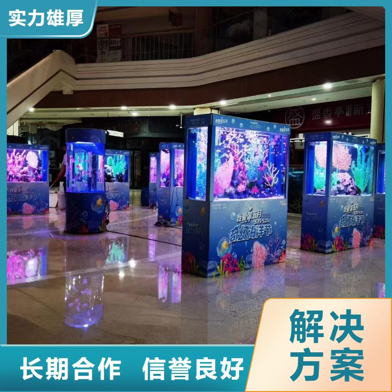 海洋主题动物表演 美人鱼表演出租快速