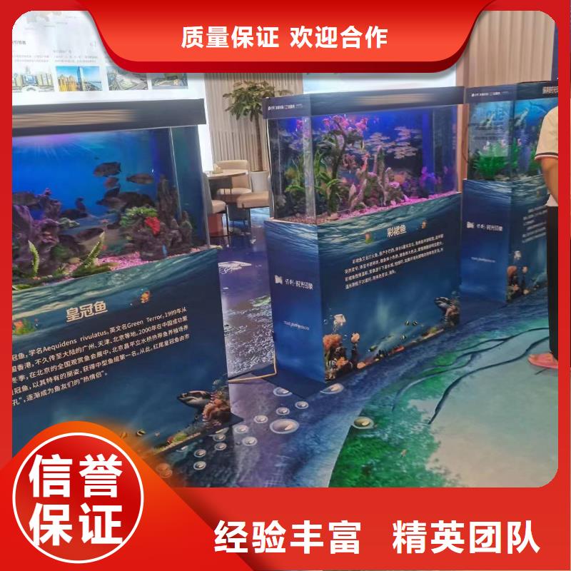 海洋主题动物表演羊驼出租解决方案