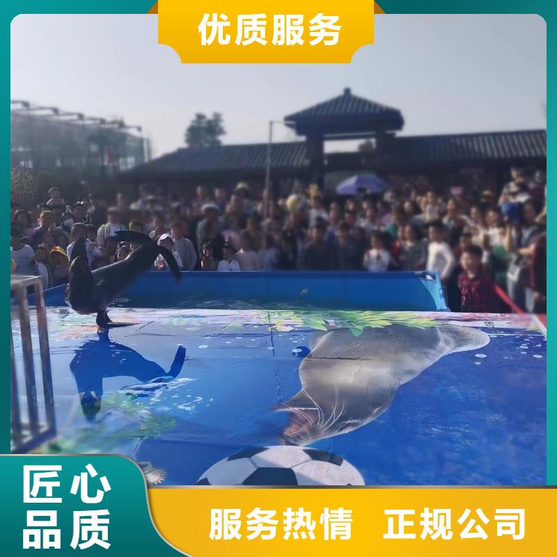 海洋主题动物表演,商场马戏表演出租技术好