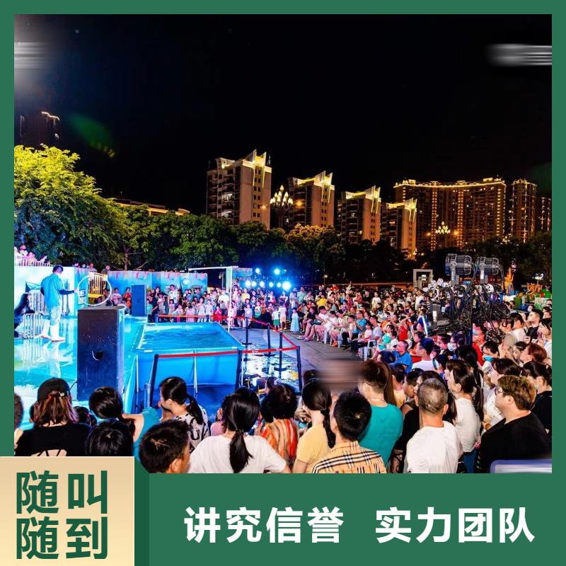 海洋主题动物表演海狮表演出租有实力