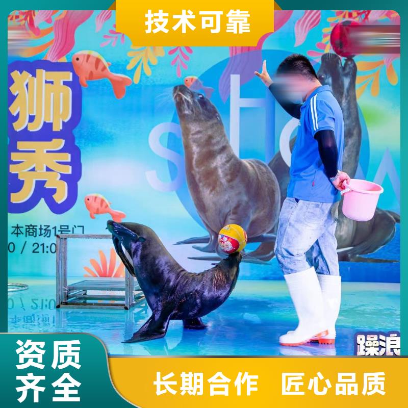 海洋主题动物表演羊驼出租解决方案