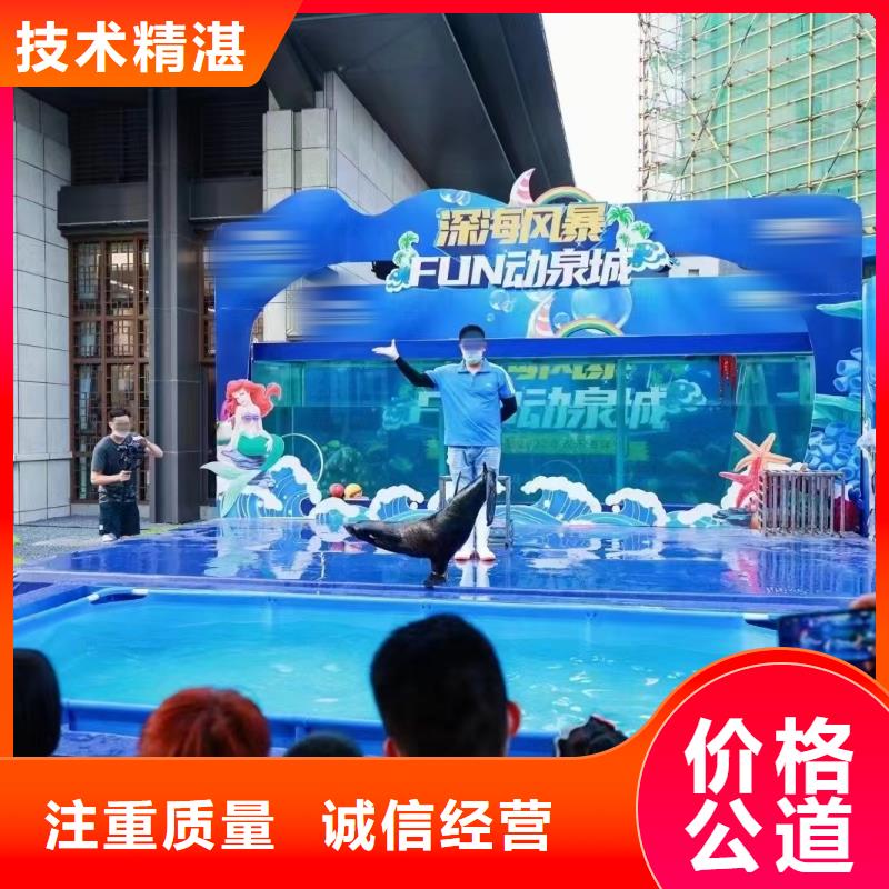海洋主题动物表演羊驼出租解决方案