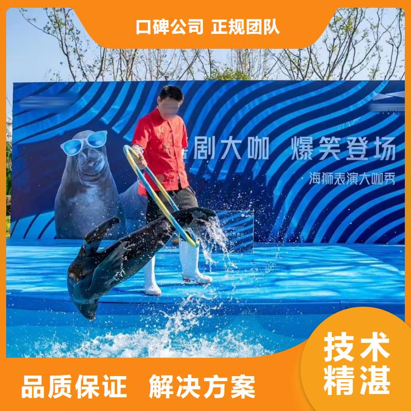海洋主题动物表演环球飞车表演出租好评度高