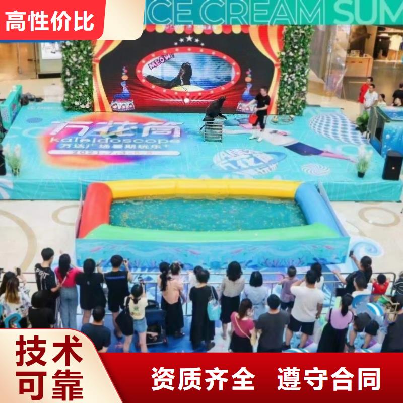 海洋主题动物表演 【海狮表演】快速