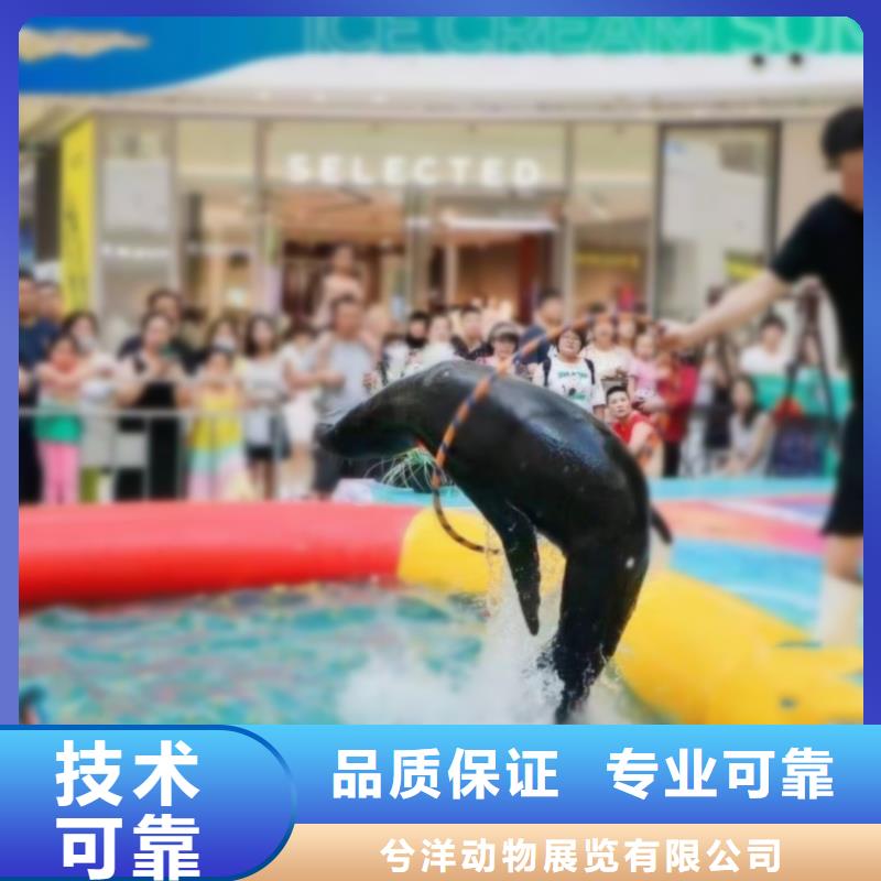 海洋主题动物表演美人鱼表演实力公司