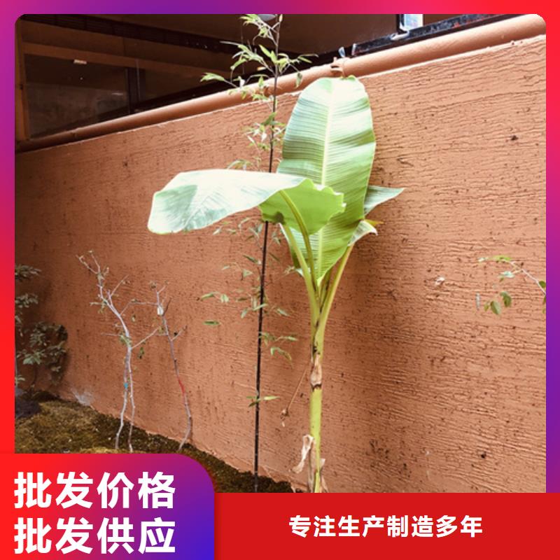 断层仿泥巴墙涂料厂家#仿泥巴稻草漆#民宿改造#美丽乡村