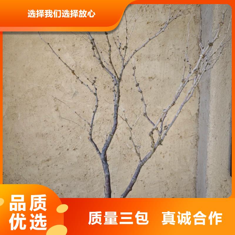 仿夯土外墙漆价格#仿泥巴稻草漆#民宿改造#美丽乡村