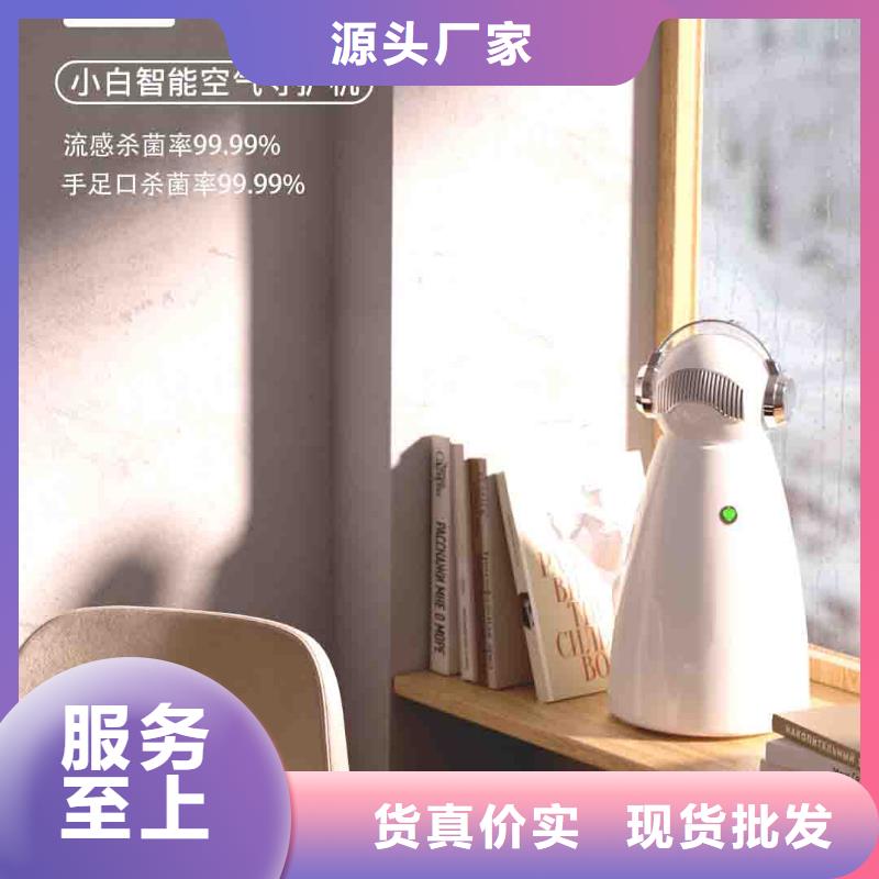 【 小白空气守护机小白空气守护机生产货源充足】-室内空气消毒(衢州市分公司)