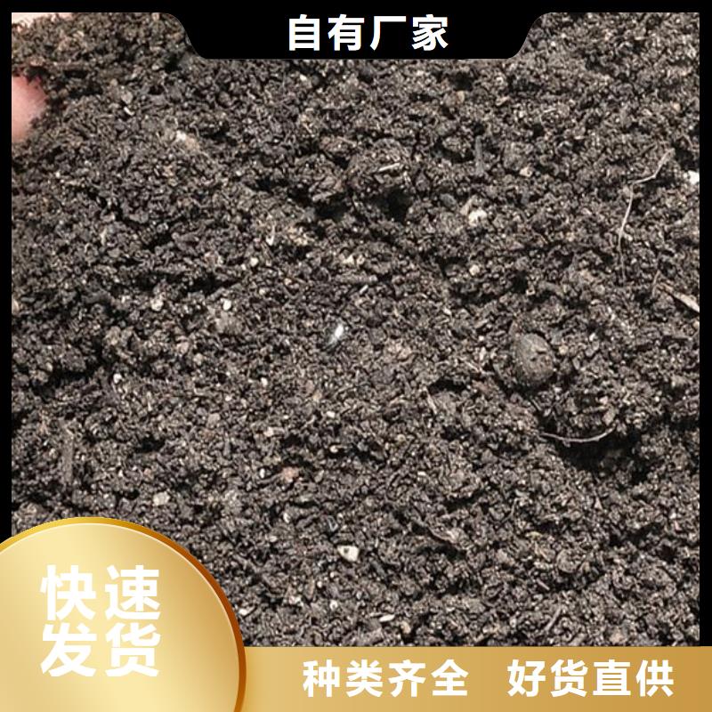 有机肥销量好