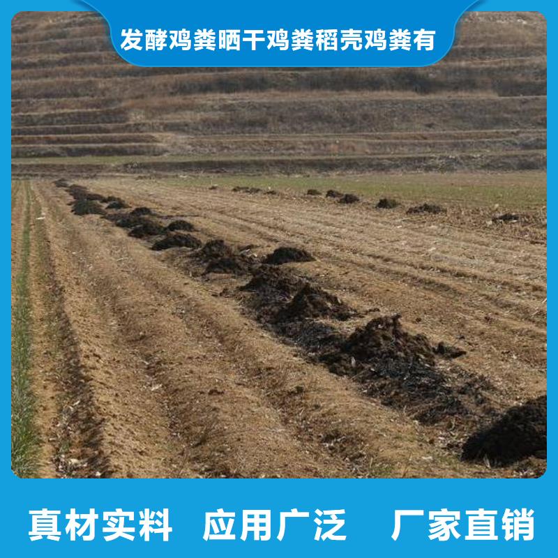 晒干鸡粪因为好分享朋友圈了
