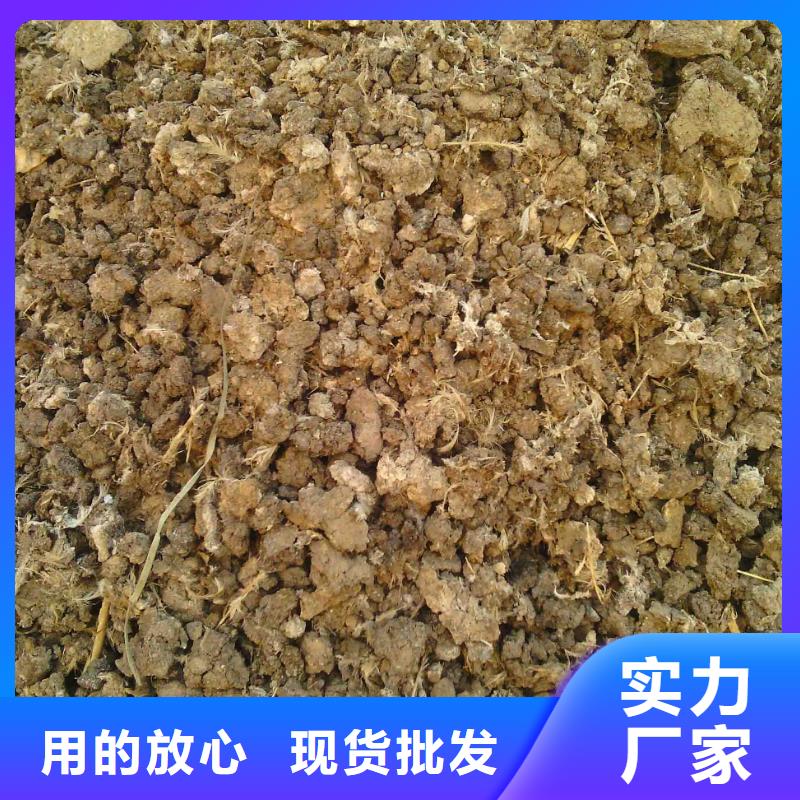 有机肥价格合适