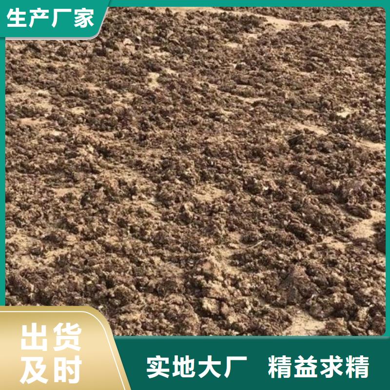有机肥价格合适