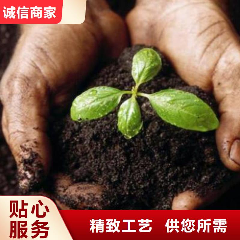 鸡粪有机肥循环利用