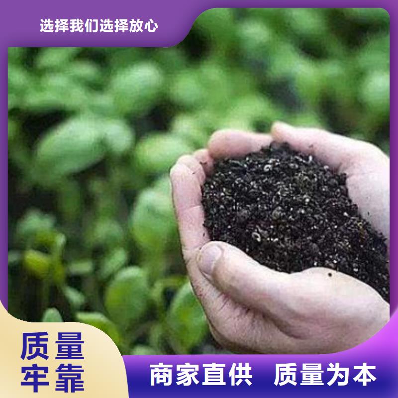 鸡粪有机肥改良土壤效果很好