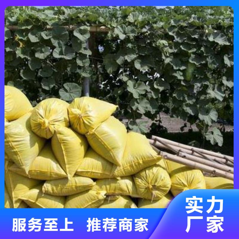 肥水鸡粪肥效真的不错