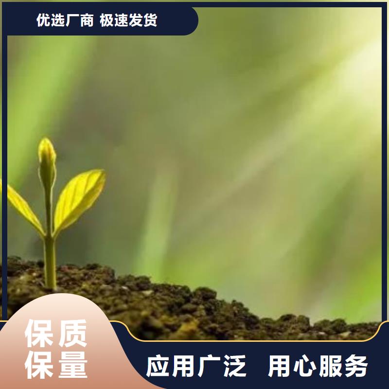 晒干鸡粪帮助农田增肥