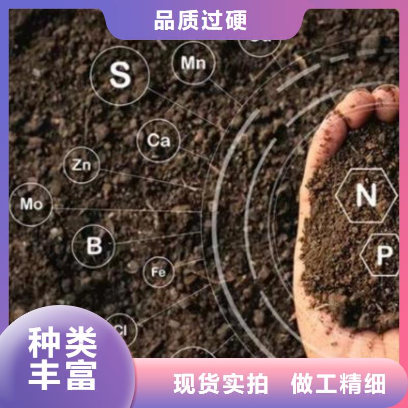 肥水鸡粪肥效真的不错