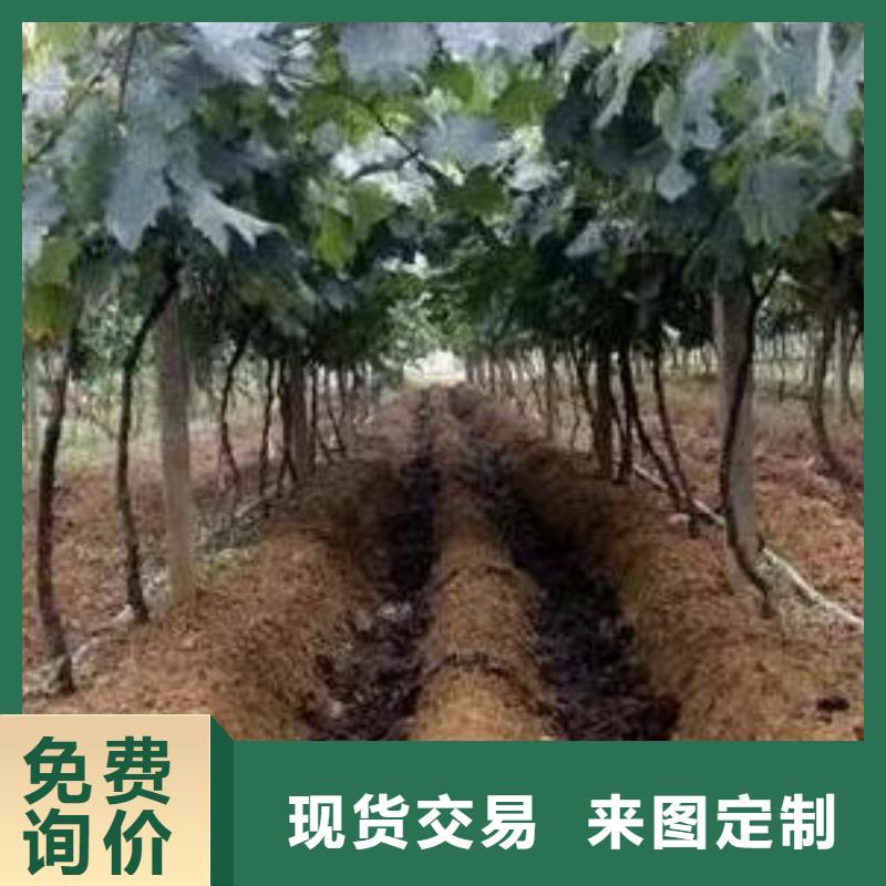 鸡粪有机肥改良土壤效果很好