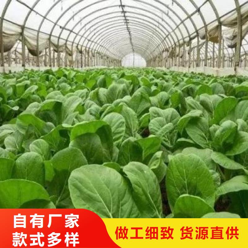 晒干鸡粪帮助农田增肥